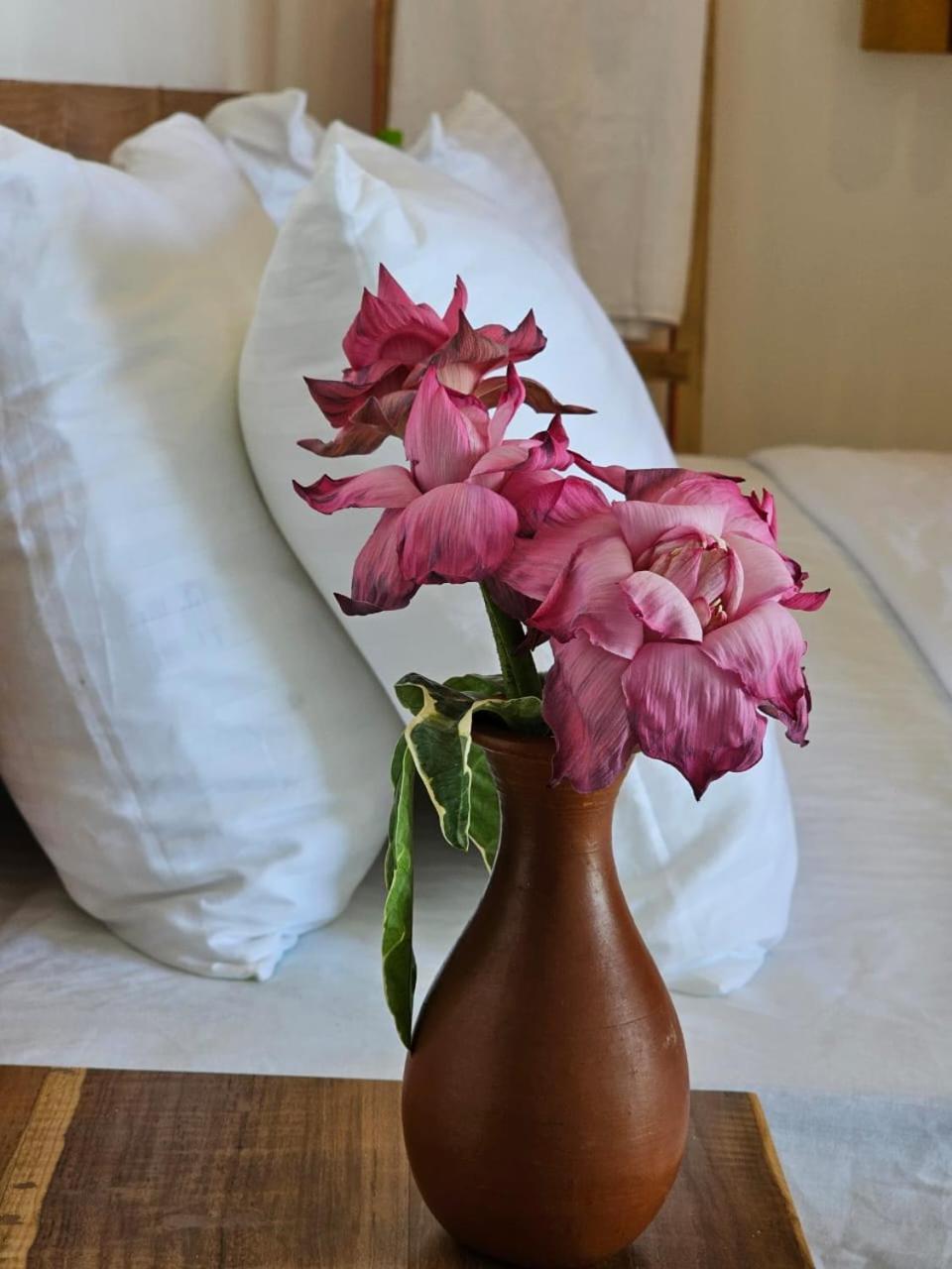 Hotel Muthu Sea View Hiriketiya Dickwella Zewnętrze zdjęcie